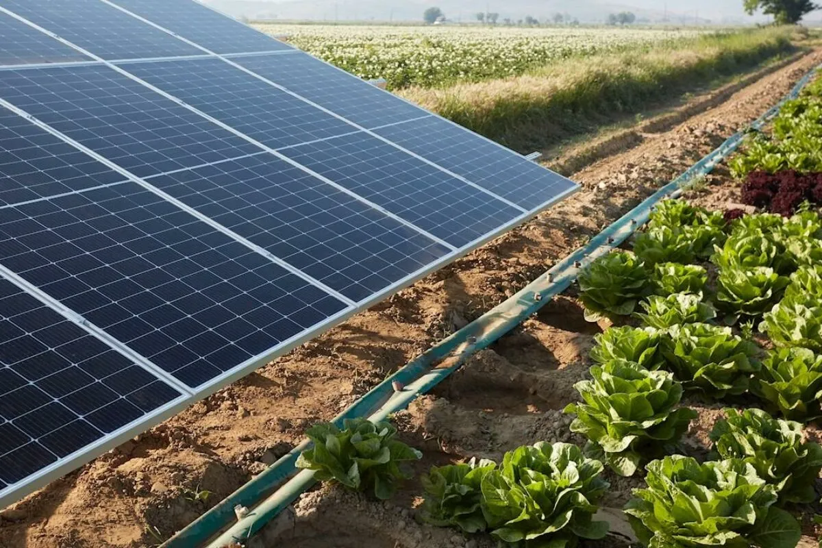 Solution pour le Secteur Agricole — photo 1